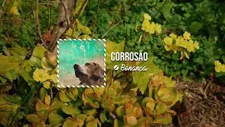 Drai - Corrosão