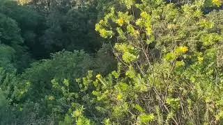 Natural Water Falls noise
