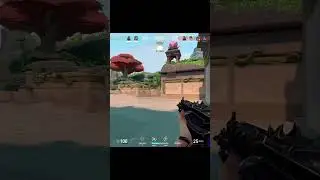 become owl