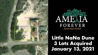 North Florida Land Trust: Little NaNa Dune