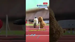 Спорт как отличная идея для маркетинга! #бизнес #стартап #маркетинг