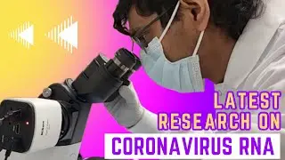 Our Lab's First Paper on Coronavirus RNA (and how it gets eliminated!)