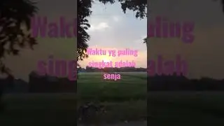 senja