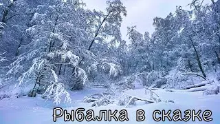 Рыбалка в сказочном месте