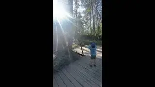 jurassic adventure park
