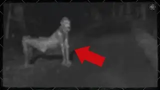 Top 5 scary huanted place in the World