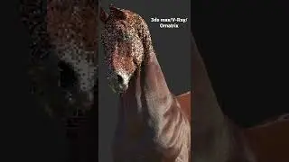 Horse hair using Ornatrix!
