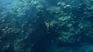 Underwater scenery from Hadaba, Sharm el Sheikh