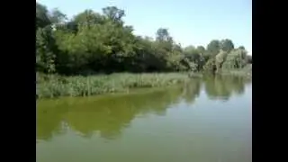 MOV03541
