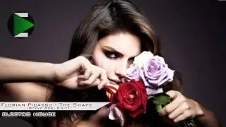 [Electro House] Florian Picasso- The Shape (Steve Aoki Edit)