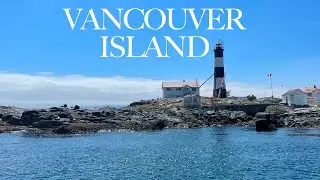 My Solo Trip to Vancouver Island | Wildlife & Surfing
