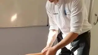Manipulation of the wrist - advanced manipulation techniques for manual therapists