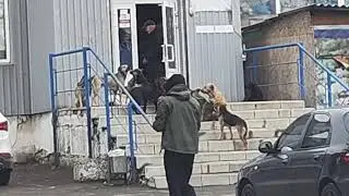 20 октября 2024 г.