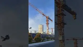 рассвет