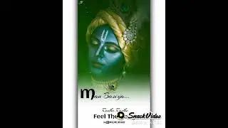 krishna the Supreme soul