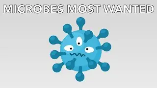 33. Most Wanted Microbes