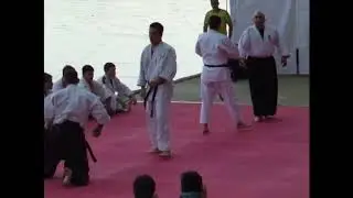 Dokaj Miloš Lukić - kratka motka