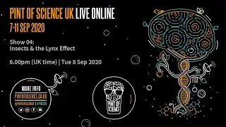 Insects & the Lynx Effect