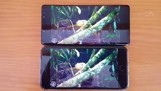 Samsung Galaxy Note 8 first use impressions