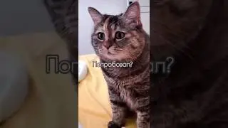 ЗАВТРАК НА ДВОИХ. КОГДА ЗАБЫЛ ПОХВАЛИТЬ ЕДУ 