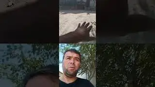 Ёзда чанг қишда лой кўчалар