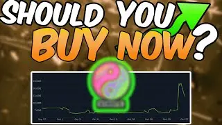 Collection Stickers are underrated | Weekly CS2 Investment News