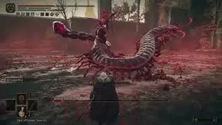 Romina Saint of the Bud - Elden ring Dlc