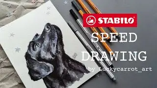 Рисуем собаку | Stabilo pen68 brush & point88 (speedpaint)