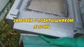 пчеловодство, зимовка с подкрышником лысонь