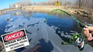 Fishing SEWAGE WATER For Crazy RARE Fish! (Mirror Carp)
