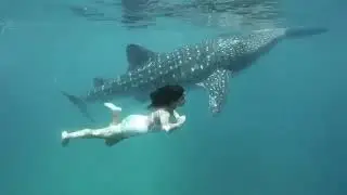 #worldoceansday