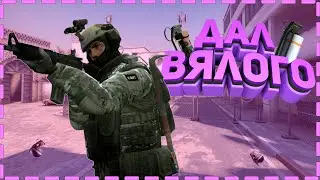 дал вялого #csgo #ксго (18+)