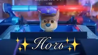 ✨ Гонщик - Ночь ✨ (Премьера клипа 2021) | Paw Patrol:The Movie (HD)🍿
