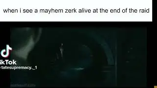 #lostark when I see mayhem zerks alive at the end of the raid