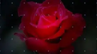 Ciência, Amor e Poesia, um livro do século 21