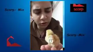 Ygs Sonucunu Görünce Tepkin - Scorp