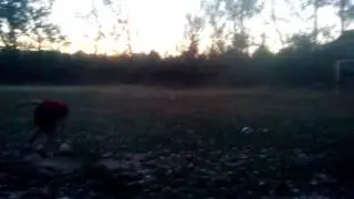 #jz7