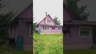 Дом 100м2 на 7.8 сот в продаже