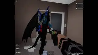 Playing Noctis With Friend