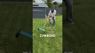 3 Tips for a Full Lawn 🪴✅