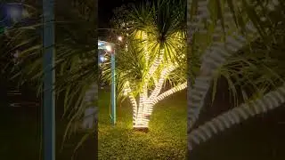 Вот такая погода в Нячанге. До обеда яркое солнце и жара, вечером дождь