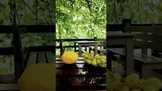 лимон vs виноград / кислотная битва рН