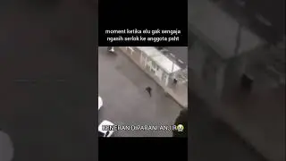 #memesdaily#memewibu#memes#meme#memeindonesia#fyp#memesvideo#fypviral#fypage#fypyoutube#viralshorts