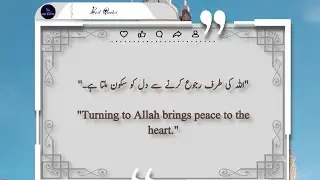 Today's Top 5 Inspirational Quotes About ALLAH