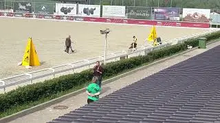 Zorkinhof Buldozer, Чемпионат России, по IGP, С 89