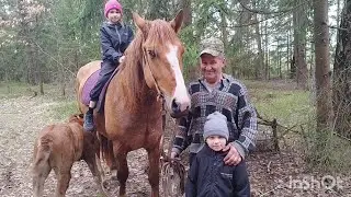 В ЛЕСУ🐎ПРАЗДНУЕМ ДЕНЬ РОЖДЕНИЕ ВМЕСТЕ С ЛОШАДЬМИ🎉🍾