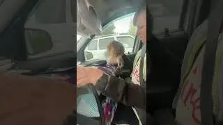 Поездка в клинику 🐾