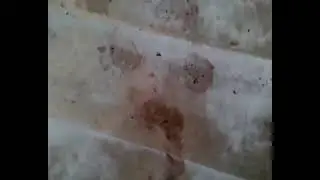 alguien que callo en la locura 💀🌚 (Alan tutorial)