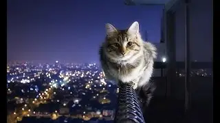 Ночной перехрёстак!