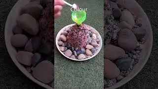 Vinegar And Baking Soda Volcano - Science Experiment #volcanomodel #scienceexperimentforkids